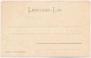 Denta (Temes, Timis), Gróf Karátsonyi Jenő uradalmi intézősége, haltenyészete és rizstelepe, kastély...