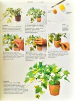 Stan Smith: Az akvarellfestés iskolája. Bp. 1997. Magyar Könyvklub. Kiadói kartonált papírkötés