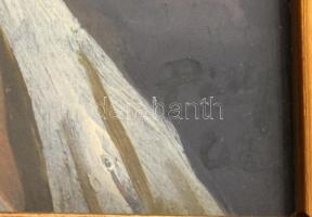 Pállya Celesztin (1864-1948): Női portré. Olaj, falemez, jelzett. Dekoratív, üvegezett fakeretben, 1...