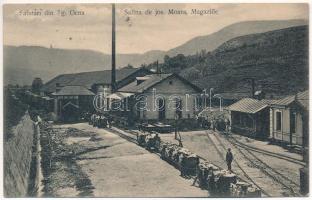 1910 Targu Ocna, Aknavásár; Salina de jos. Moara, Magaziile / salt mine, warehouse, industrial railway, mine carts