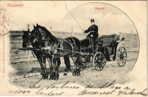Bucharest, Bukarest, Bucuresti, Bucuresci; Muscal / horse chariot
