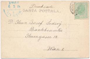 1903 Turnu Severin, Szörényvár; Primarie / town hall. Art Noueau litho with Romanian flag (EB)