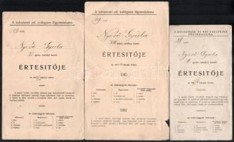 dr. Nyírő Gyula (18951966) orvos, elme-ideggyógyász, egyetemi tanár, az orvostudományok kandidátusa. okmány hagyaték, katonakönyv, egy csoportkép, bizonyítványok