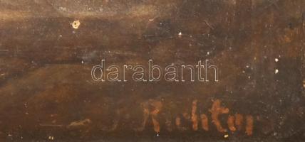 Richter jelzéssel: Hegyvidék. Olaj, vászon, sérült. Kopott fakeretben, 40x57 cm