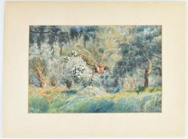 Jelzés nélkül: Napfényes erdőrészlet. Akvarell, papír, jelzett, paszpartuban, 26,5×40,5 cm