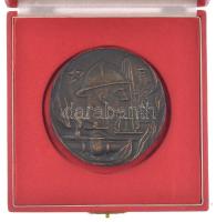 Pataky Béla (1932-2023) 1970. "20 éves a KVV Siófok" bronz emlékérem tokban (72mm) T:AU