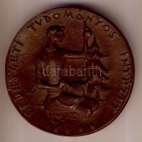 Cca 1960-as évek "Vadas Jenő-Erdészeti Tudományos Intézet" nagyalakú Br kisplasztika, ered...