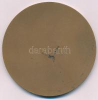 Iván István (1905-1968) DN "Budapest - Rákóczi Ferenc" egyoldalas bronz emlékérem (80mm) T...