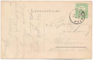 1911 Előpatak, Valcele; Sétatéri részlet, urak. Gyulai Ferenc fényképész kiadása 1906. / promenade, ...