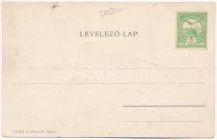 Bikszádfürdő, Baile Bicsad, Bixad; Orient szálló, Móricz lak, park. Czettel és Deutsch / hotel, vill...