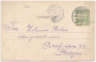 1906 Szatmárnémeti, Satu Mare; Hám János utca, lovas hintó, termény- és hitelbank. Divald Károly 823...