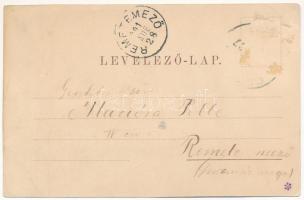 1901 Szatmárnémeti, Satu Mare; Deák tér, Losonczi József üzlete. Reizer János kiadása / square, shop...