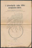 cca 1886 2 db orvosi nyomtatvány (masszázzsal kezelt kóresetek, A hydrorrhachis osteoplasticus műtét...