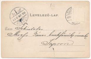 1900 Szatmárnémeti, Satu Mare; Deák tér északi és déli része, Spéter Adolf üzlete. Reizer János kiad...