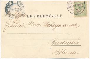 1900 Szatmárnémeti, Satu Mare; Szamos part. Löwy M. kiadása / Somes riverside. Art Nouveau, floral (...