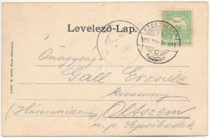 1909 Szászváros, Broos, Orastie; Téli kép katonával. H. Graef kiadása / winter with soldier (EK)