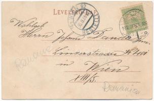 1905 Vöröstoronyi-szoros, Roter-Turm-Pass, Pasul Turnu Rosu; Karl Graef. Art Nouveau, floral (fa)