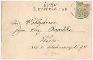 1904 Orsova, M. kir. állami iskola, Scheinberger Mór üzlete. Raichl Sándor junior kiadása / school, ...