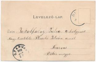 1900 Szatmárnémeti, Satu Mare; zárda. Lövy Miksa kiadása / nunnery (Rb)