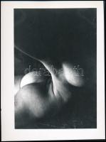 Masaya Nakamura: Akt torzó fig 7. Nagyítás, jelzett., 24x17 cm