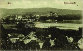 Balázsfalva, Blasendorf, Blaj; Vedere generala. Nyerges si Moldovan Nr. 12. 1928.