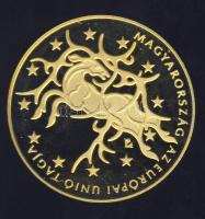 2004. 50.000Ft Au "Magyarország az EU tagja" 13,964g T:PP Csak 7000db! Tanúsítvánnyal!