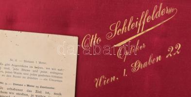 cca 1900 Optikus készlet dobozában, Schleiffelden Wien, jelzett, komplett, díszdobozban