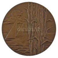 Gáll Gyula (1939-) 1977. 20 éves a Velencei Tavi Intéző Bizottság kétoldalas bronz emlékérem (70mm) T:AU,XF