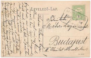 1913 Hattyas, Hitias (Temes); Negutatoria lui A.J. Kármán / Kármán A.J. üzlete / shop + "HATTYA...