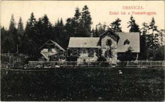 1915 Oravica, Oravita; Erdei lak a Puskáshegyen. Weisz Félix kiadása / forestry office