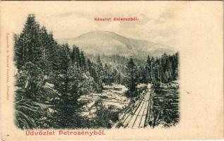 Petrozsény, Petrosani; részlet a Zsierczből, csúszda a fakitermeléshez. Joanovits és Sternád kiadása / forest, slide for logging