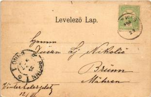 1900 Marosberkes, Birkis, Birchis; Mocsónyi-kastély. Erdélyi cs. és kir. fényk. műterméből / castle