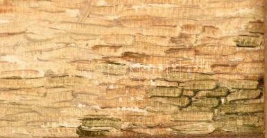 Hilger jelzéssel: Rheine, Münsterstraße (Vesztfália, Németország). Olaj, karton. 40x30 cm. Dekoratív...