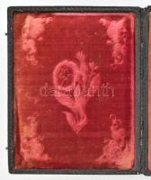 cca 1860 dagerrotípia bársonybélelt bőrtokjában 10x12 cm
