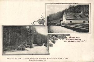 Steinachirsting with Restaurant