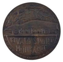 1969. "Kiváló Sport Munkáért - Magyar Autóklub Sport Bizottsága 1969" bronz emlékérem (60mm) T:AU