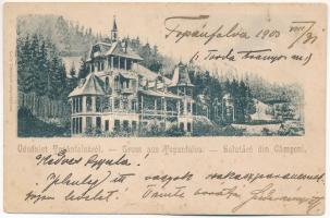 1903 Topánfalva, Topersdorf, Campeni; Schlessel és Walter-féle kastély. Csiky testvérek kiadása / castle villa (fa)