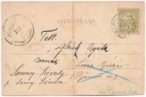 1903 Topánfalva, Topersdorf, Campeni; Schlessel és Walter-féle kastély. Csiky testvérek kiadása / ca...