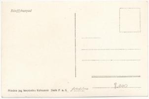 Bánffyhunyad, Huedin; Fő tér, Szálloda a Tigrishez, piac / main square, hotel, market