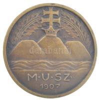 Göröntsér Greff Lajos (1888-1976) 1907. M.U.SZ. (Magyar Úszó Szövetség) bronz emlékérem, hátoldalán LUDVIG E. BPEST gyártói jelzéssel (33mm) T:AU kis ph /  Hungary 1907. M.U.SZ (Magyar Úszó Szövetség / Hungarian Swimming Association) bronze commemorative medallion, with LUDVIG E. BPEST makers mark on the back. Sign.:Lajos Göröntsér Greff (33mm) C:AU small edge error