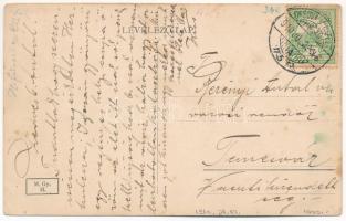 1910 Herkulesfürdő, Baile Herculane; Látkép a Coronini magaslatról / general view (EK)