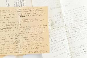 1937-1946 Gróf Domszky Pál, a lengyel-magyar ellenállás tagjának mappányi anyaga, magyar királyi köv...