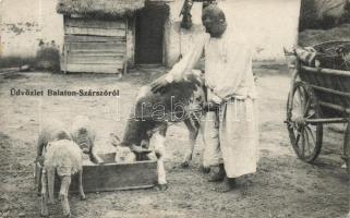 Balatonszárszó Itatás