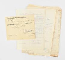 1917 Mayer József fatermelő mappányi dokumentuma, a hadügyminisztérium elleni követelés harácsolás miatt, katonai iratok