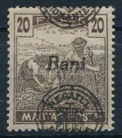 Nagyvárad 1919 Magyar Posta 20f elcsúszott felülnyomással, Bodor vizsgálójellel