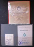 A közlekedés kiváló dolgozója + Szolgálai Érdemérem adományozó oklevelek