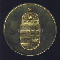 DN "Vám- és Pénzügyőrségért" nagyalakú aranyozott emlékplakett T:exPP k