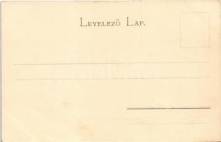 Arad, Szabadság tér, piac, Doman Gyula, Bildhauer R., Rosenberg, Dobránszky, Kuttn Gyula üzlete, Adr...