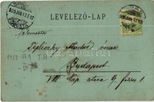 1900 Arad, Szabadság tér, Vértanú szobor, Schwarcz Testvérek üzlete. Kerpel I. kiadása / square, mon...