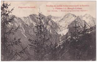 Fogarasi-havasok (Fogarasi Kárpátok), Fogarascher Karpathen, Muntii Fagarasului; Földes-féle Margit Creme reklám. Drotleff József kiadása / cosmetic cream advertisement (ázott / wet damage)